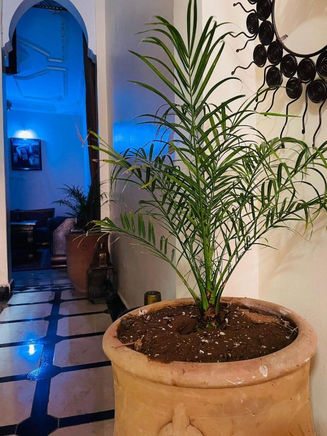 Riad Ms Holidays Terrasse Privatise Marrakech مراكش المظهر الخارجي الصورة